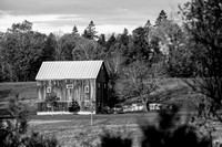 barnstudy10 copy