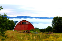 morning fog