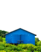 bluebarnstudy